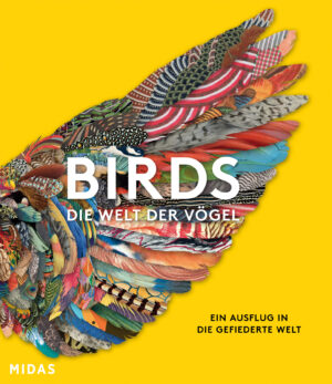 BIRDS – Das Buch der Vögel